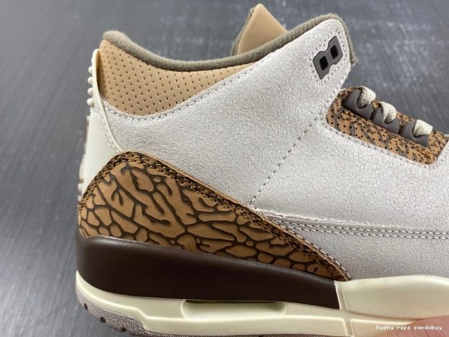 Rep Husky Jordan Palomino Air CT8532-102 3 0729